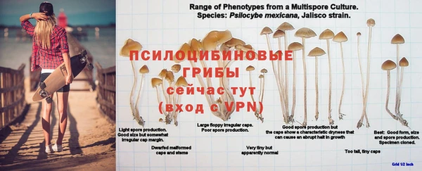 прущие крисы Заволжье