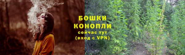 МДПВ Переславль-Залесский